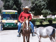 POBLADOR DE ALCA EN CABALLO