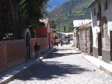 CALLEALCA