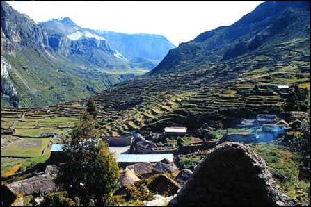 PUYCA